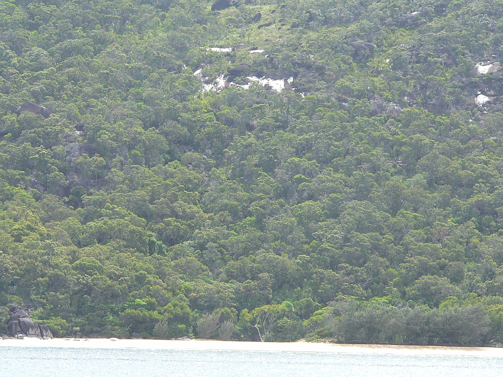153 Fitzroy Island.jpg